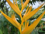 2x digital zoom (f/1.8, ISO 50, 1/270s)