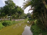 Ultra-wide camera (f/2.0, ISO 50, 1/1782s)
