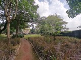 Ultra-wide camera (f/2.0, ISO 50, 1/360s)