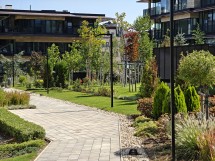 Telephoto camera Oppo Find N5 - f/2.7, ISO 50, 1/121s - News 25 09 Cameraphone vs. Foldable review