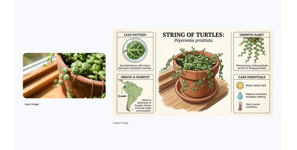 Infinium tech | Graphics designing company Google launches Nano Banana Pro based on Gemini 3