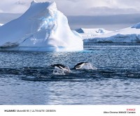 Huawei Mate80 series camera samples (4096x3414px)