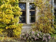 vivo X200 Ultra, assortment - 35mm, f/1.7, ISO 71, 1/858s (4096x3072px) - News 25 12 My Top 5 Ivan  review