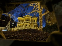 vivo X200 Ultra, assortment - 14mm, f/2.0, ISO 1455, 1/33s (4096x3072px) - News 25 12 My Top 5 Ivan  review