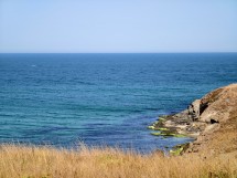 vivo X200 Ultra, assortment - 85mm, f/2.3, ISO 50, 1/258s (4080x3072px) - News 25 12 My Top 5 Ivan  review