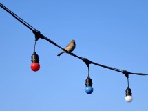 vivo X200 Ultra, assortment - 135mm, f/2.3, ISO 50, 1/319s (4080x3072px) - News 25 12 My Top 5 Ivan  review