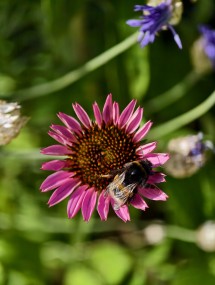 vivo X200 Ultra, assortment - 85mm, f/16.0, ISO 70, 1/982s (3072x4080px) - News 25 12 My Top 5 Ivan  review