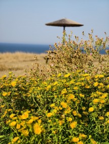 vivo X200 Ultra, assortment - 85mm, f/2.3, ISO 50, 1/319s (3072x4080px) - News 25 12 My Top 5 Ivan  review