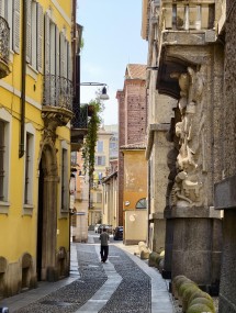 vivo X200 Ultra, assortment - 85mm, f/2.3, ISO 50, 1/110s (3072x4080px) - News 25 12 My Top 5 Ivan  review