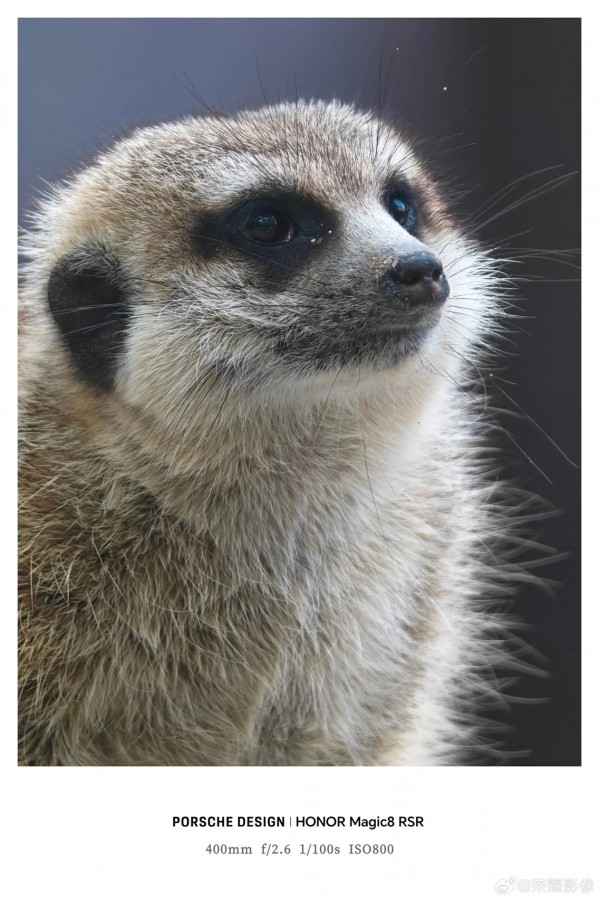 Detail lensa dan casing Honor Magic8 RSR