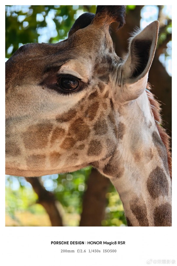 Sisi belakang Honor Magic8 RSR Porsche Design