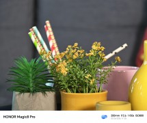 Honor Magic8 Pro : 200mm (teleconverter) - 200mm, f/2.6, ISO 800, 1/50s (4080x3416px) - Honor Magic8 Pro Photography Kit