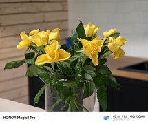 Honor Magic8 Pro : 85mm (native) - 85mm, f/2.6, ISO 640, 1/50s (4080x3416px) - Honor Magic8 Pro Photography Kit