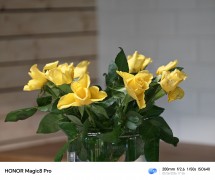 Honor Magic8 Pro : 200mm (teleconverter) - 200mm, f/2.6, ISO 640, 1/50s (4080x3416px) - Honor Magic8 Pro Photography Kit