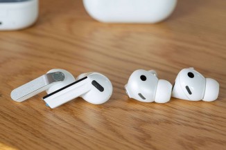 पुरानी कलियों के बगल में नई कलियाँ