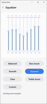 The Windows version of the Galaxy Buds app