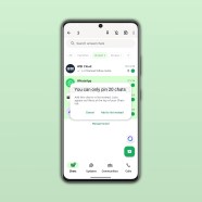 WhatsApp Plus Features: Pinning, Ringtones, Lists
