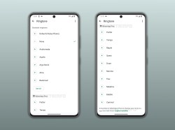 WhatsApp Plus Features: Pinning, Ringtones, Lists