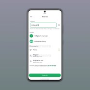 WhatsApp Plus Features: Pinning, Ringtones, Lists