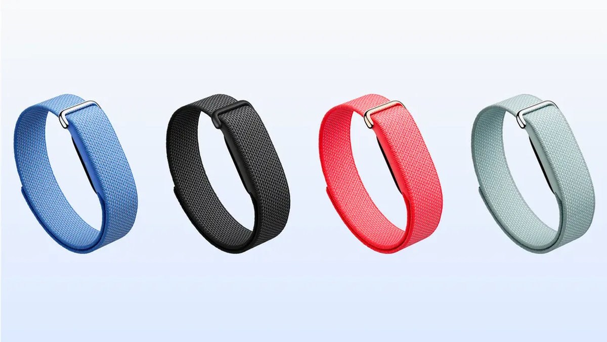 Fitbit Air Performance Loop bands