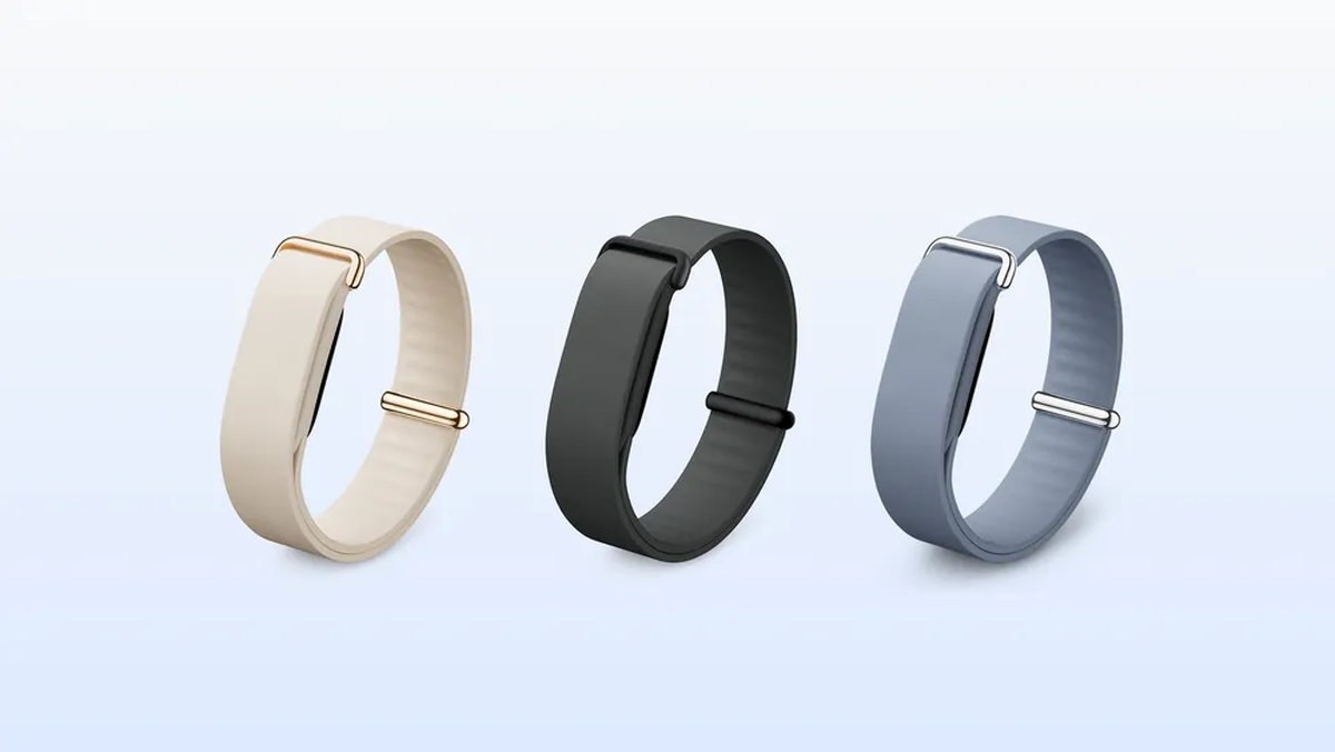 Fitbit Air Elevated Modern Bands