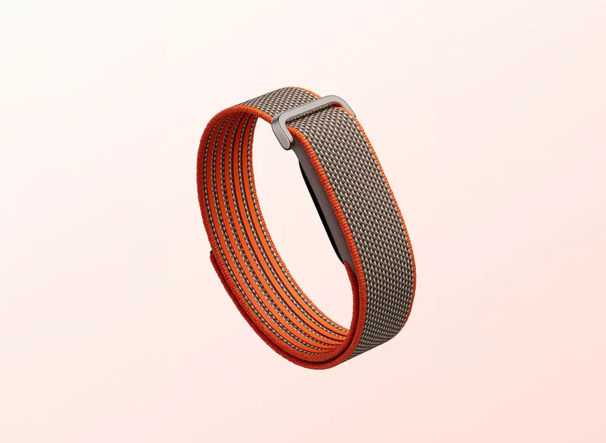 Google Fitbit Air Special Edition