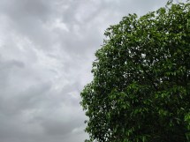 Main camera samples (28mm, f/1.8, ISO 50, 1/720s, 4080x3072px)