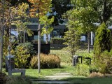 Daylight comparison, telephoto camera (10x): Pixel 11 Pro - 241mm, f/2.8, ISO 43, 1/495s (4080x3064px) - News 26 09 Google Pixel 11 vs. 11 Pro review