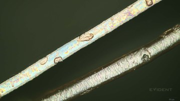 camera aperture blade next to human hair (left) and next to 2mm screw (right)