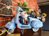 vivo X Fold6 daylight samples, main camera (1x) (23mm, f/1.7, ISO 471, 1/50s, 4080x3072px)