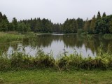 vivo X500 Pro Max main camera samples - 48mm, f/1.6, ISO 67, 1/1342s (4096x3072px) - vivo X500 Pro Max camera samples