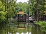 vivo X500 Pro Max telephoto camera samples - 85mm, f/2.7, ISO 130, 1/100s (4080x3072px) - vivo X500 Pro Max camera samples