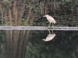 vivo X500 Pro Max telephoto camera samples - 1600mm, f/2.8, ISO 389, 1/50s (4080x3072px) - vivo X500 Pro Max camera samples