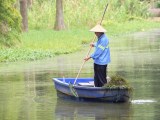vivo X500 Pro Max telephoto camera samples - 400mm, f/2.8, ISO 398, 1/100s (4080x3072px) - vivo X500 Pro Max camera samples
