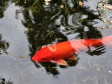vivo X500 Pro Max telephoto camera samples - 242mm, f/2.7, ISO 223, 1/100s (4080x3072px) - vivo X500 Pro Max camera samples