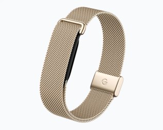Metal Mesh bands for the Fitbit Air in Champagne Gold (left) and Polished Silver (right)