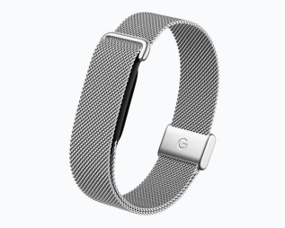 Metal Mesh bands for the Fitbit Air in Champagne Gold (left) and Polished Silver (right)