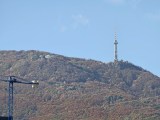 Daylight samples, teleconverter (10x) - 230mm, f/2.1, ISO 64, 1/200s (4096x3072px) - Oppo Find X10 Pro Max Hasselblad teleconverter kit samples
