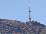 Daylight samples, teleconverter (20x) - 460mm, f/2.1, ISO 50, 1/176s (4096x3072px) - Oppo Find X10 Pro Max Hasselblad teleconverter kit samples