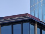Daylight samples, teleconverter (40x) - 920mm, f/2.1, ISO 50, 1/642s (4096x3072px) - Oppo Find X10 Pro Max Hasselblad teleconverter kit samples