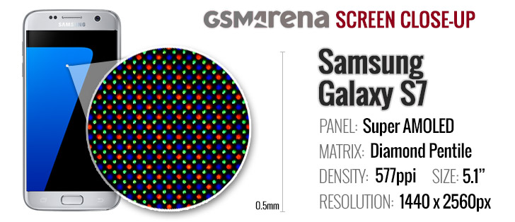 Galaxy S7 vs. iPhone 6s