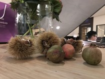 Apple iPhone 7 low-light camera sample - Huawei Mate 9 hands-on