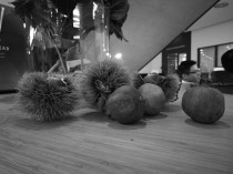 Huawei Mate 9 low-light camera sample: black&white (ISO1000) - Huawei Mate 9 hands-on