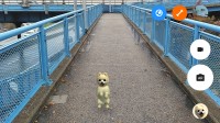 Still image captured from AR camera: Outside - Lenovo Phab2 Pro review