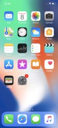 The homescreen - Apple iPhone X review
