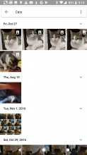Search - Google Pixel 2 review