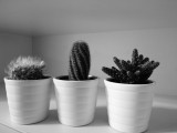 Huawei Mate 10 12MP low-light monochrome indoors samples - f/1.6, ISO 1000, 1/17s - Huawei Mate 10 review