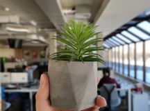 Portrait mode samples on a plant - f/4.0, ISO 87, 1/102s - vivo NEX Dual Display review