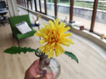 Camera samples, HDR off, AI on - f/1.8, ISO 100, 1/141s - Xiaomi Mi 8 review