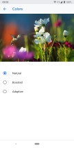 Google Pixel 3a XL display options - Google Pixel 3a Xl review